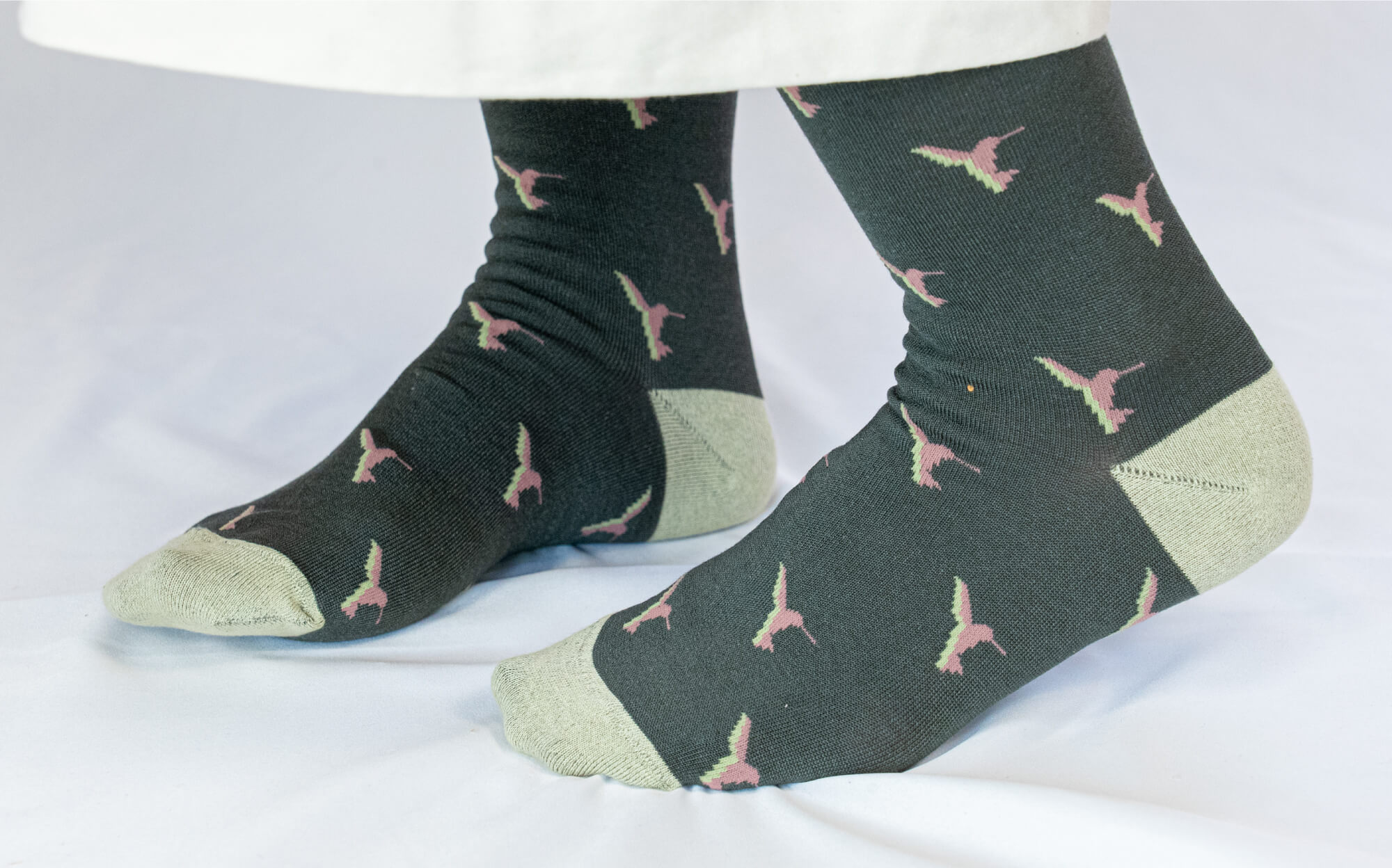 めっちゃ！鳥 | ハミングバード・プロジェクト (HummingBird